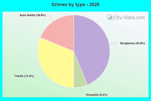 Crimes by type - 2020