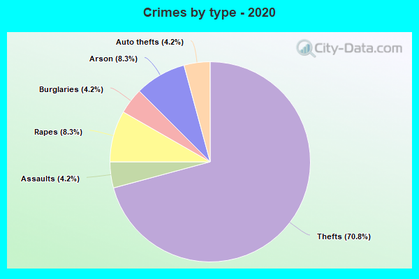 Crimes by type - 2020