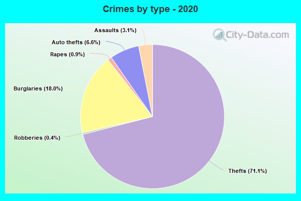 Crimes by type - 2020