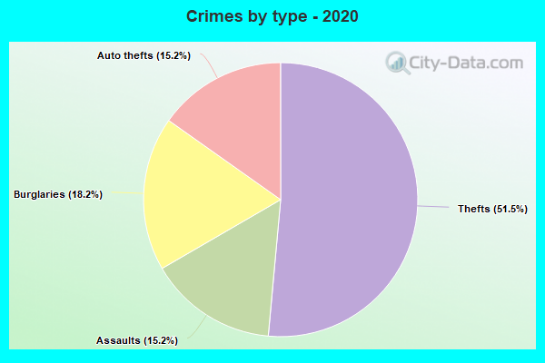 Crimes by type - 2020