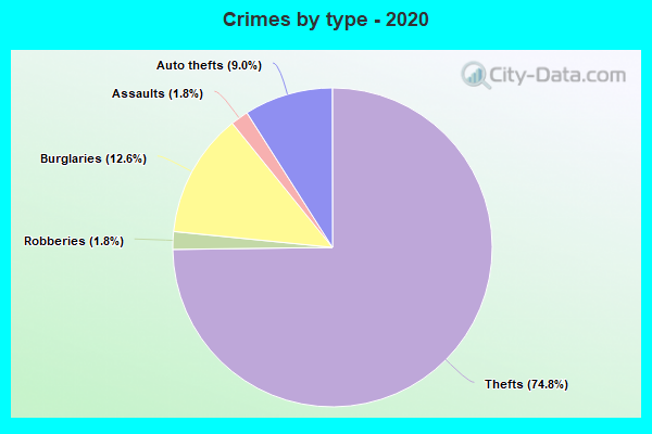 Crimes by type - 2020