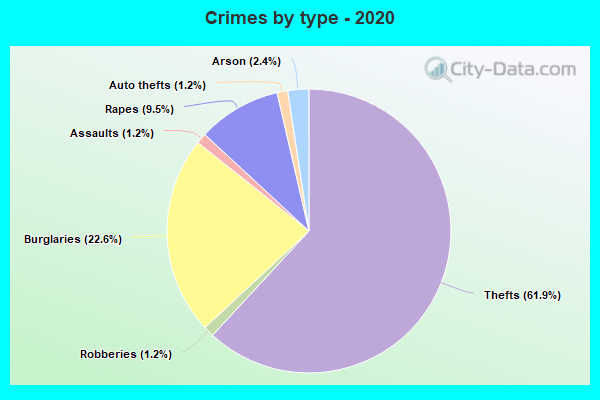 Crimes by type - 2020