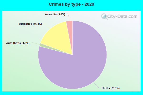 Crimes by type - 2020