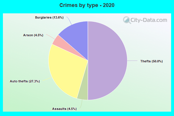 Crimes by type - 2020