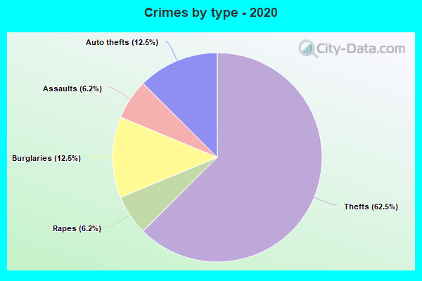 Crimes by type - 2020