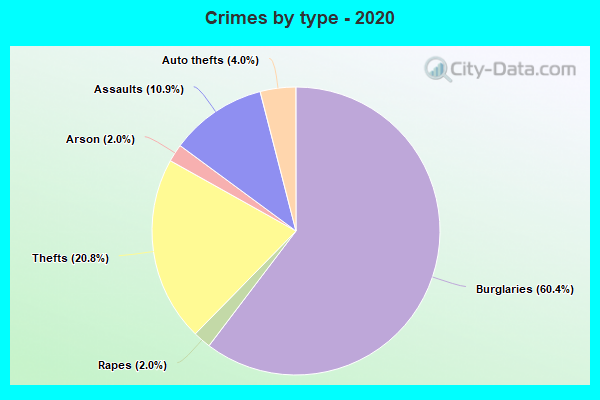 Crimes by type - 2020