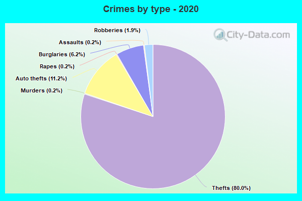 Crimes by type - 2020