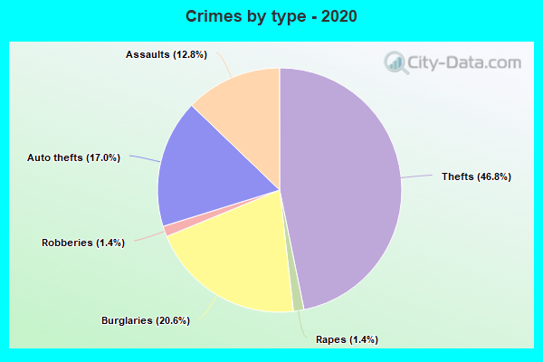 Crimes by type - 2020