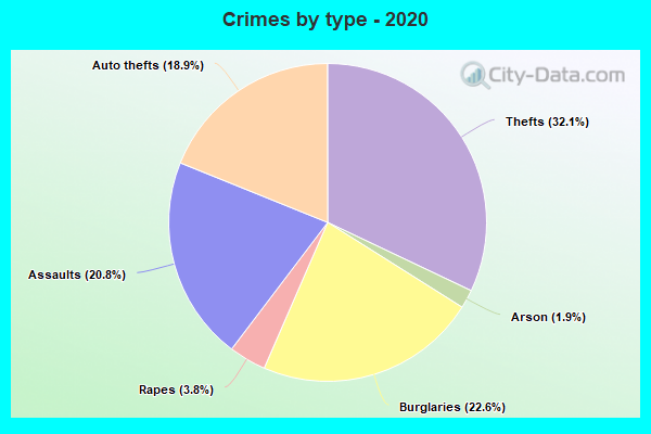 Crimes by type - 2020