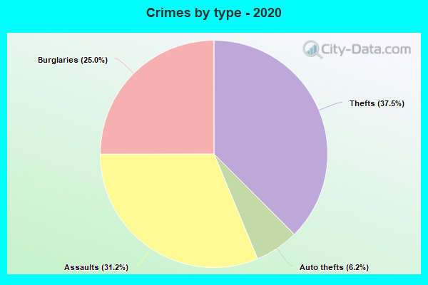 Crimes by type - 2020