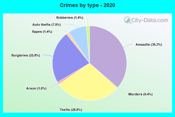 Crimes by type - 2020