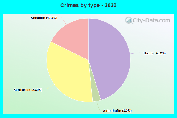 Crimes by type - 2020