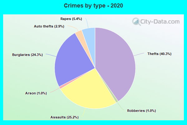 Crimes by type - 2020