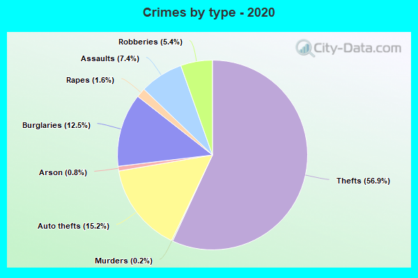 Crimes by type - 2020