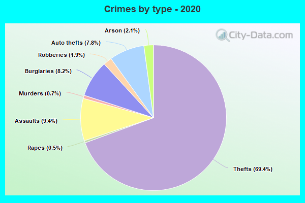 Crimes by type - 2020