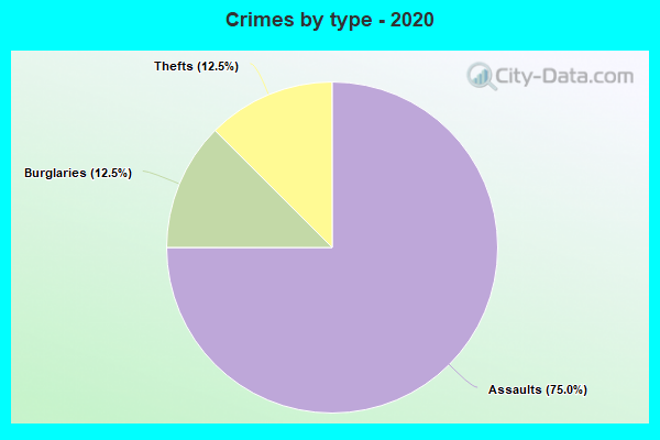 Crimes by type - 2020