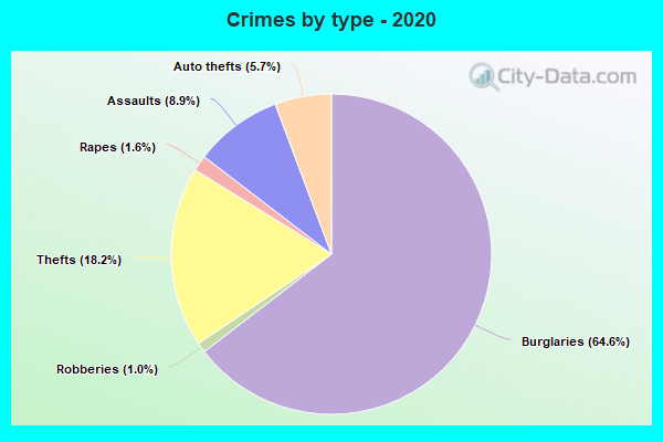 Crimes by type - 2020