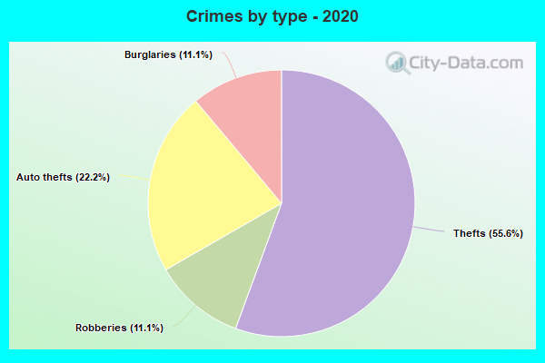 Crimes by type - 2020