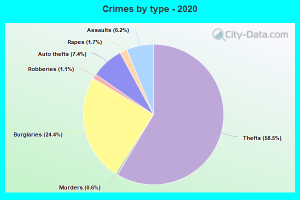 Crimes by type - 2020