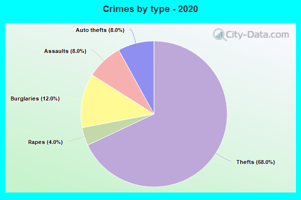 Crimes by type - 2020