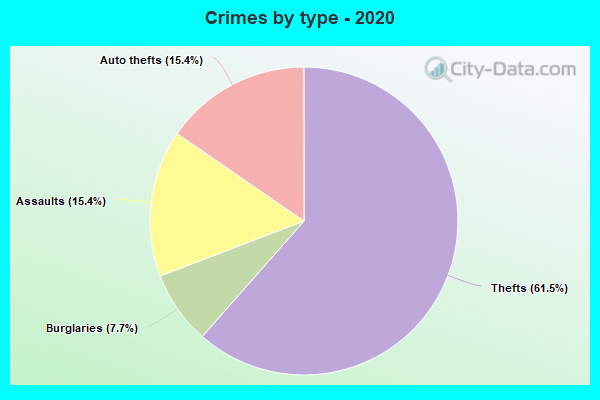 Crimes by type - 2020