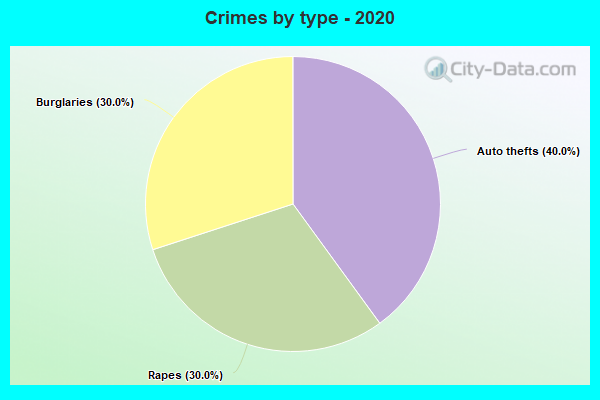 Crimes by type - 2020