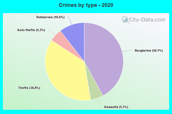 Crimes by type - 2020