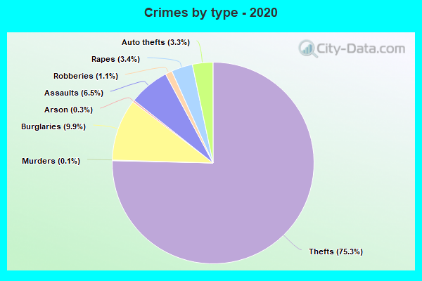 Crimes by type - 2020