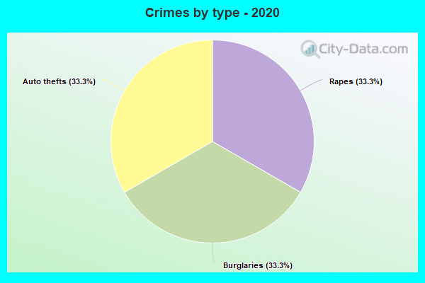 Crimes by type - 2020