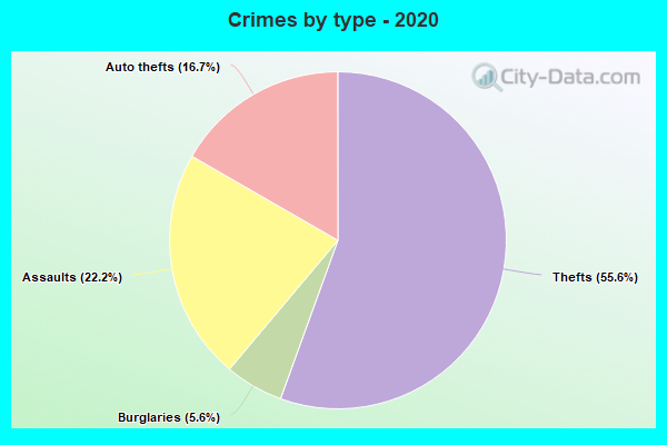 Crimes by type - 2020