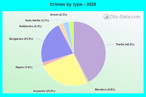 Crimes by type - 2020