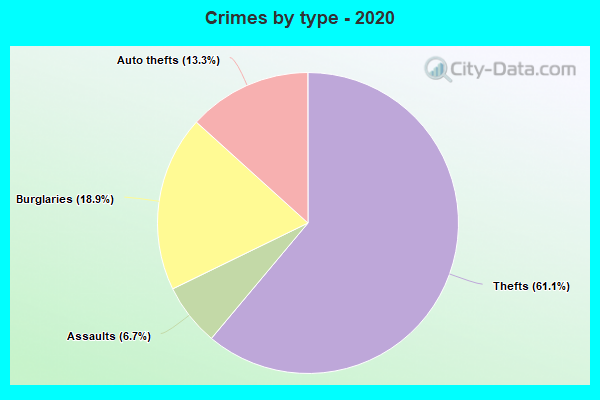 Crimes by type - 2020