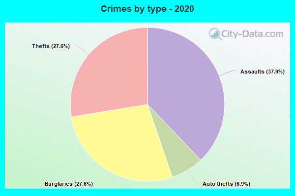 Crimes by type - 2020