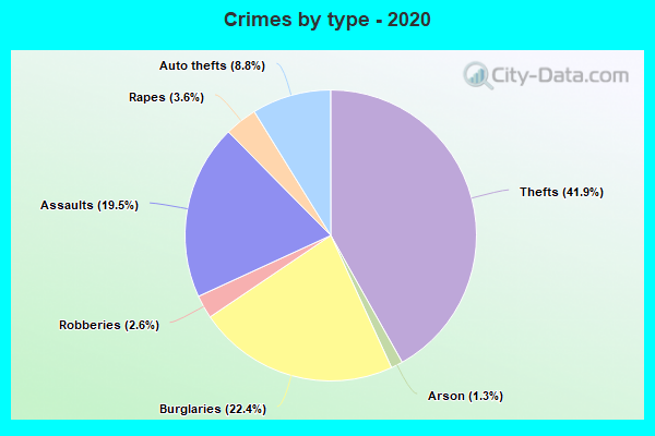 Crimes by type - 2020