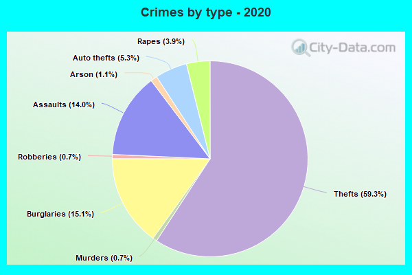 Crimes by type - 2020