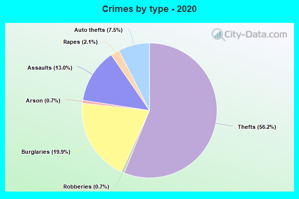 Crimes by type - 2020