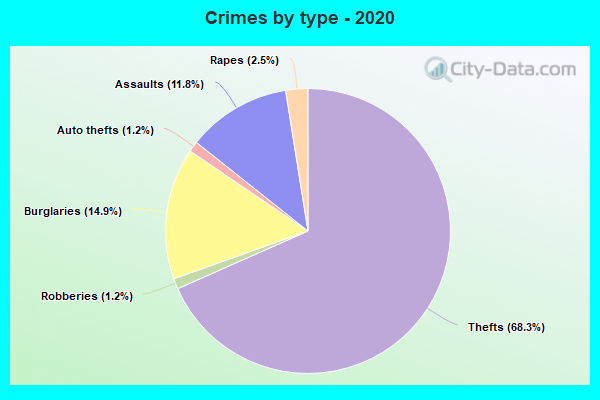 Crimes by type - 2020