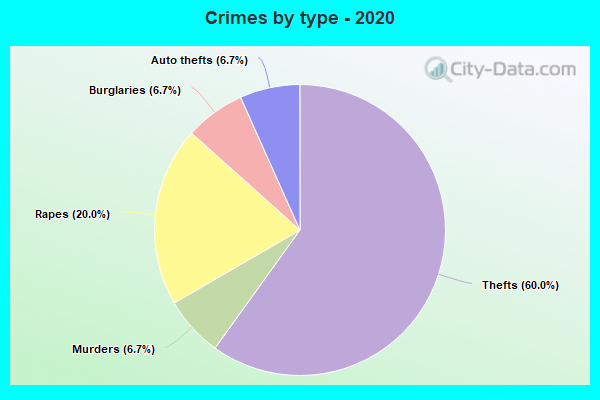 Crimes by type - 2020