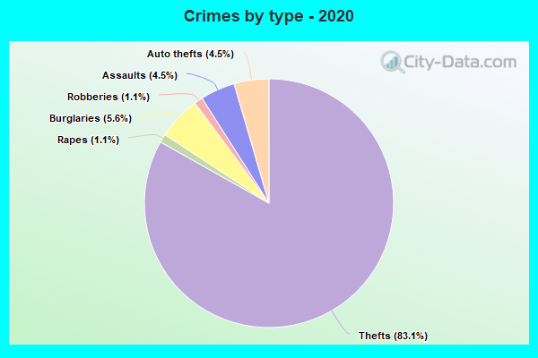 Crimes by type - 2020