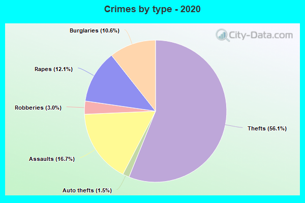 Crimes by type - 2020