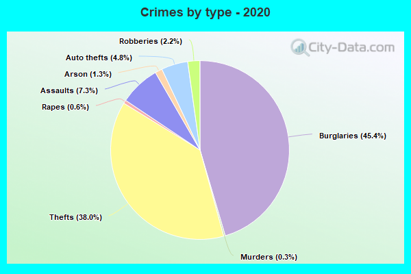 Crimes by type - 2020