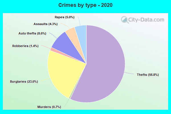 Crimes by type - 2020