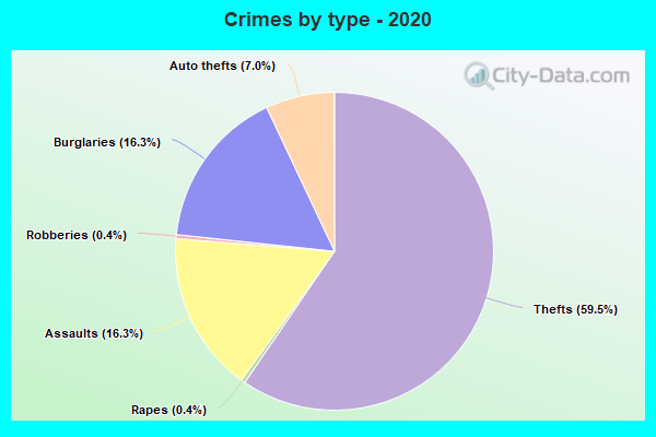 Crimes by type - 2020