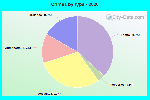 Crimes by type - 2020