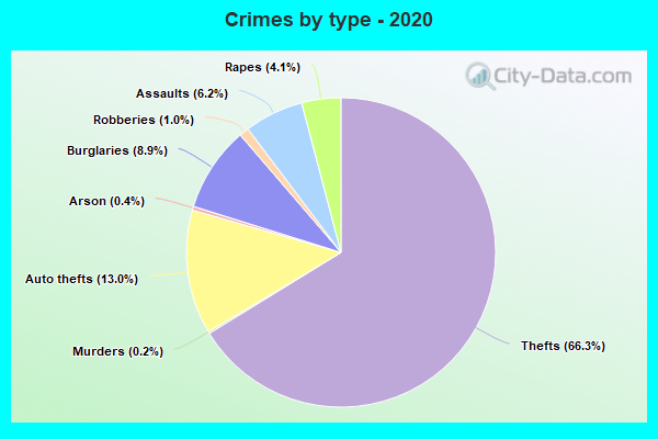 Crimes by type - 2020