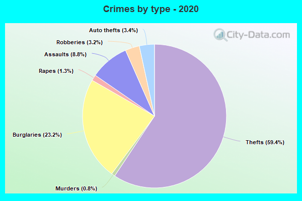 Crimes by type - 2020