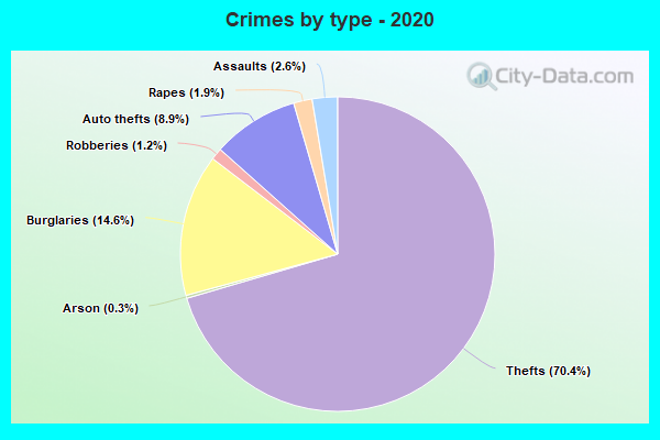 Crimes by type - 2020