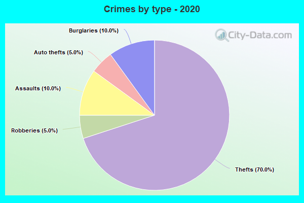 Crimes by type - 2020