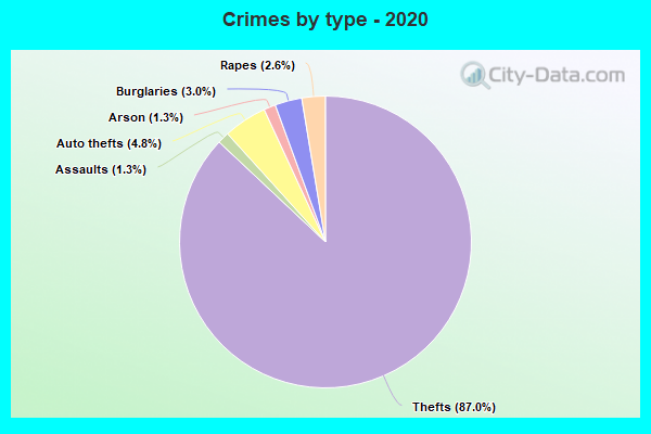 Crimes by type - 2020