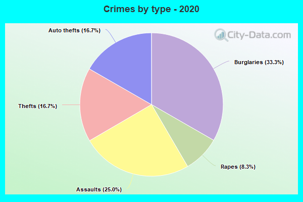 Crimes by type - 2020